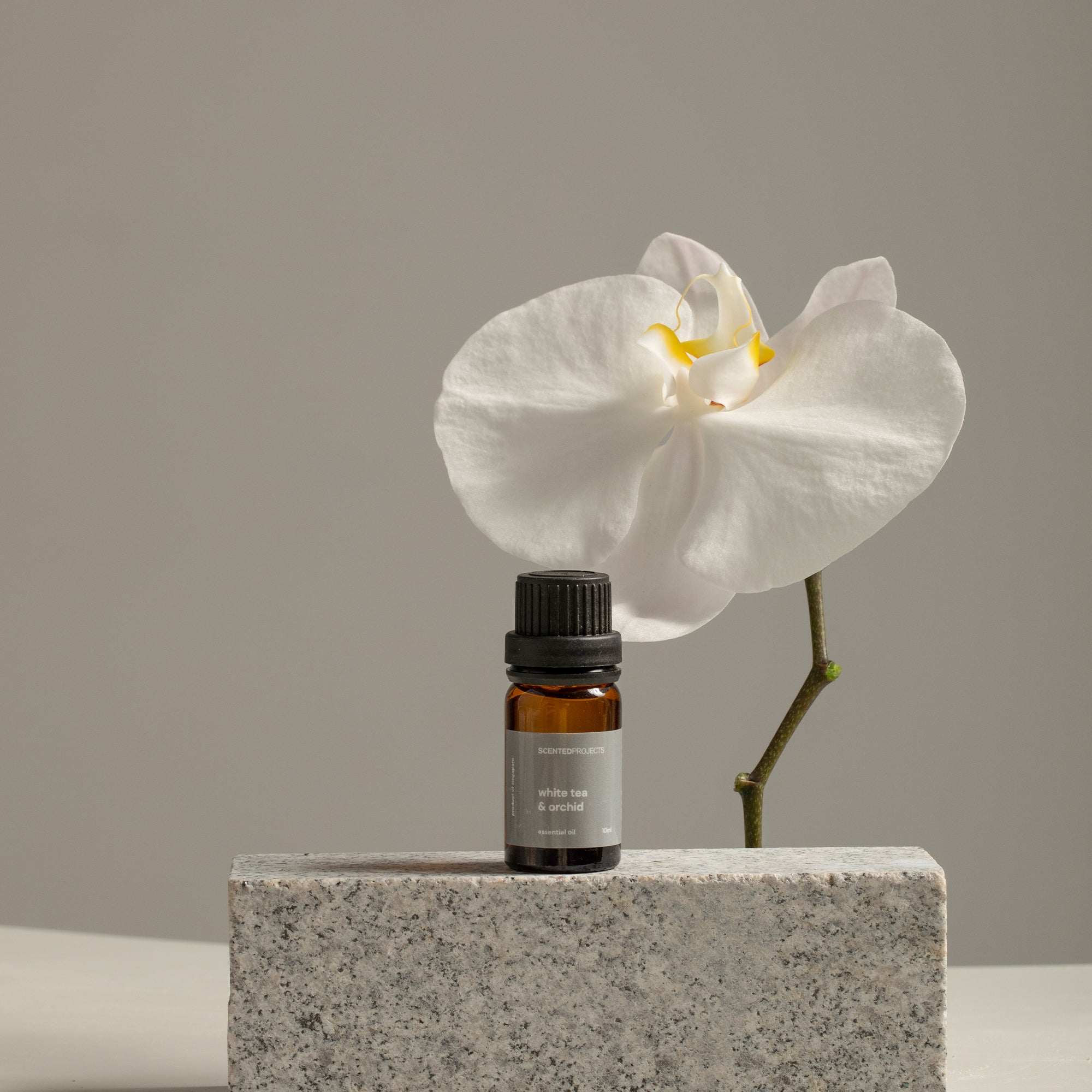 White Tea & Orchid – scentedprojects